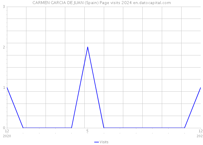 CARMEN GARCIA DE JUAN (Spain) Page visits 2024 