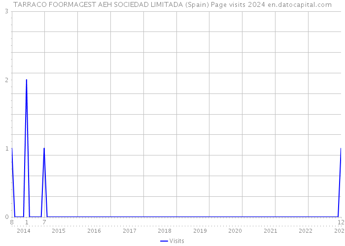TARRACO FOORMAGEST AEH SOCIEDAD LIMITADA (Spain) Page visits 2024 