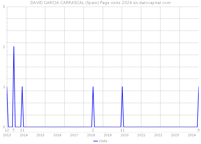 DAVID GARCIA CARRASCAL (Spain) Page visits 2024 