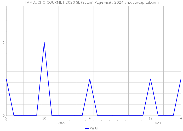 TAMBUCHO GOURMET 2020 SL (Spain) Page visits 2024 