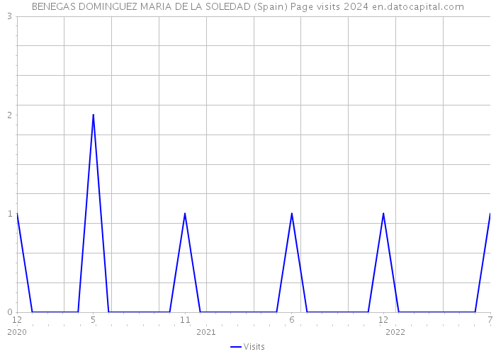 BENEGAS DOMINGUEZ MARIA DE LA SOLEDAD (Spain) Page visits 2024 