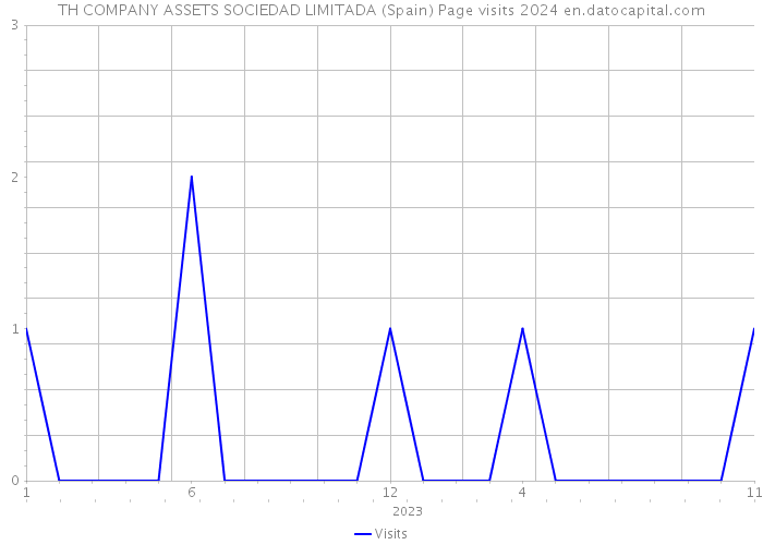 TH COMPANY ASSETS SOCIEDAD LIMITADA (Spain) Page visits 2024 