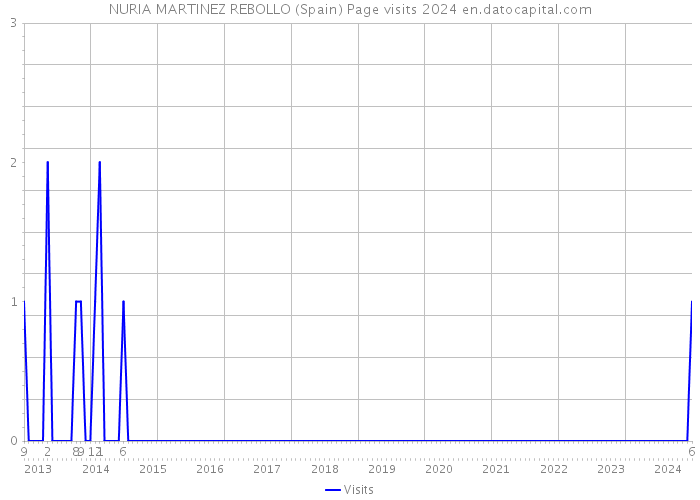 NURIA MARTINEZ REBOLLO (Spain) Page visits 2024 