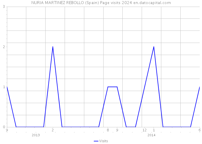 NURIA MARTINEZ REBOLLO (Spain) Page visits 2024 
