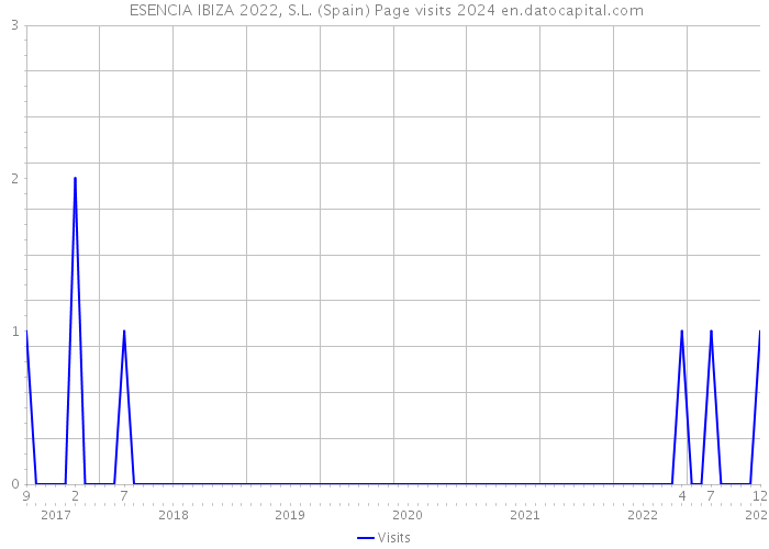  ESENCIA IBIZA 2022, S.L. (Spain) Page visits 2024 