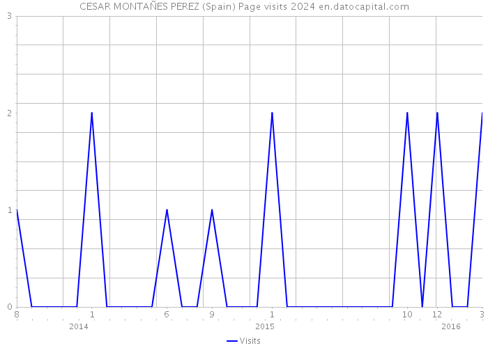 CESAR MONTAÑES PEREZ (Spain) Page visits 2024 