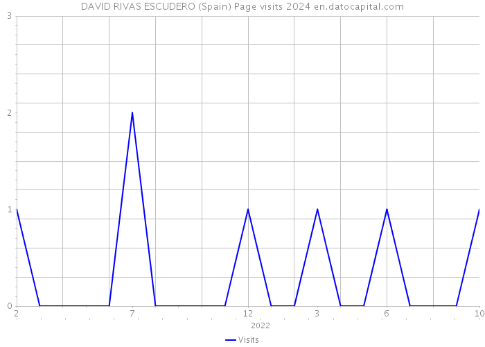 DAVID RIVAS ESCUDERO (Spain) Page visits 2024 