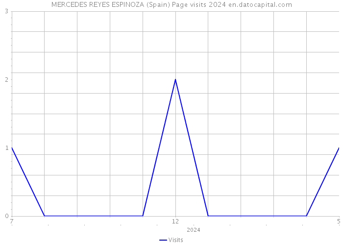MERCEDES REYES ESPINOZA (Spain) Page visits 2024 