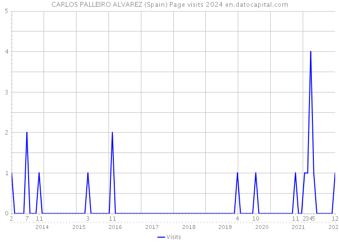 CARLOS PALLEIRO ALVAREZ (Spain) Page visits 2024 