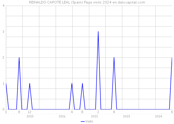 REINALDO CAPOTE LEAL (Spain) Page visits 2024 