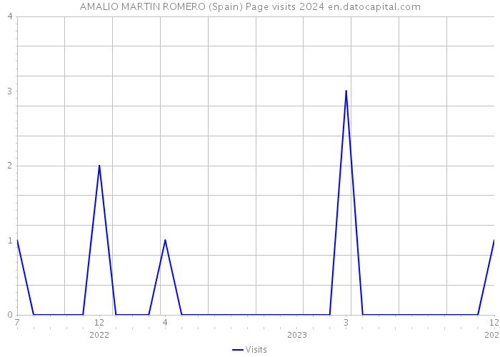 AMALIO MARTIN ROMERO (Spain) Page visits 2024 
