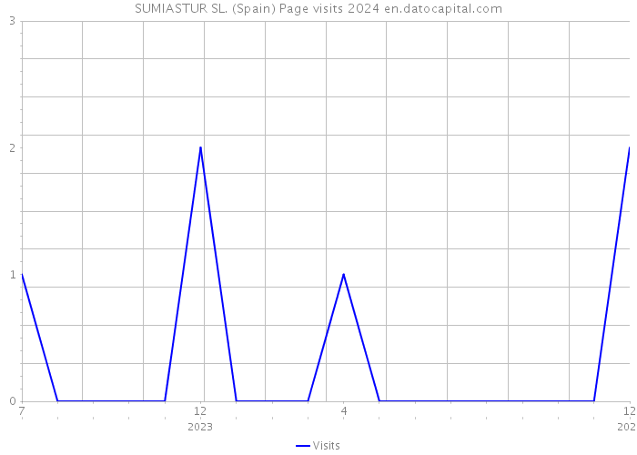 SUMIASTUR SL. (Spain) Page visits 2024 