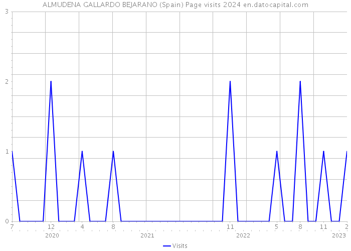 ALMUDENA GALLARDO BEJARANO (Spain) Page visits 2024 