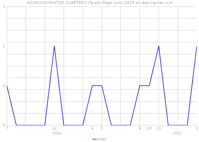 ASUNCION PASTOR CUARTERO (Spain) Page visits 2024 