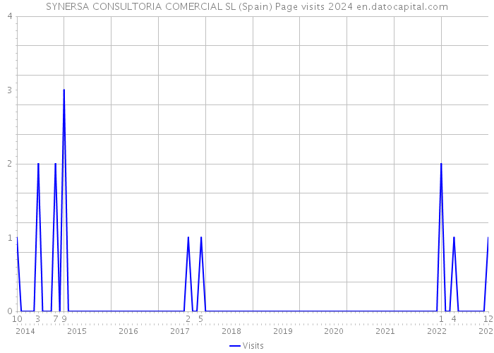 SYNERSA CONSULTORIA COMERCIAL SL (Spain) Page visits 2024 