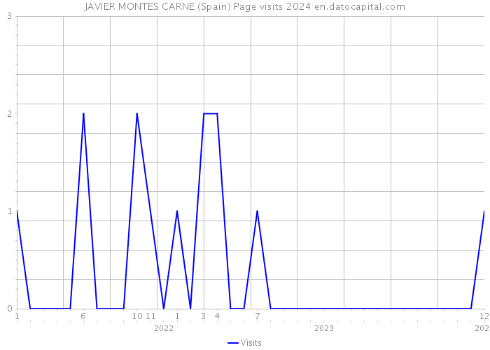 JAVIER MONTES CARNE (Spain) Page visits 2024 