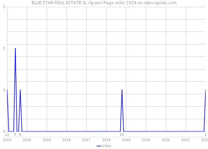 BLUE STAR REAL ESTATE SL (Spain) Page visits 2024 