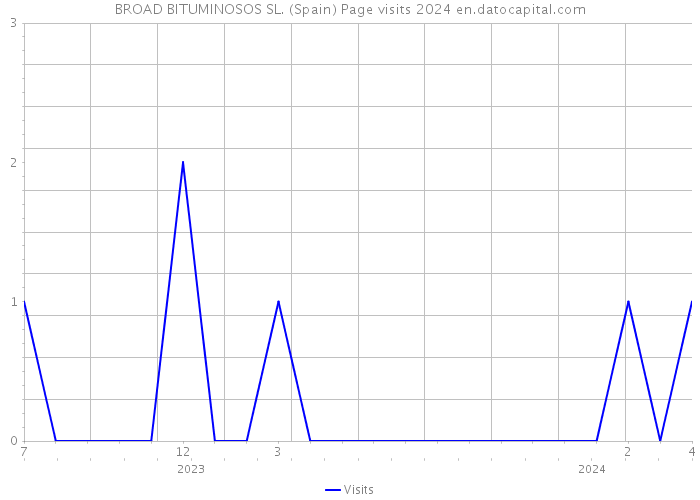 BROAD BITUMINOSOS SL. (Spain) Page visits 2024 