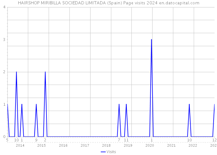 HAIRSHOP MIRIBILLA SOCIEDAD LIMITADA (Spain) Page visits 2024 