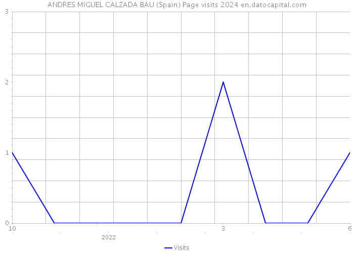 ANDRES MIGUEL CALZADA BAU (Spain) Page visits 2024 