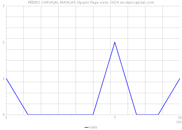 PEDRO CARVAJAL MANGAS (Spain) Page visits 2024 