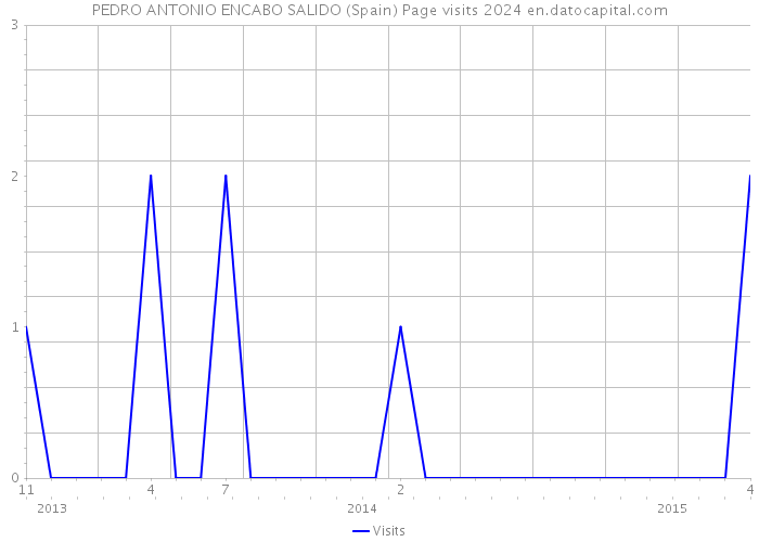 PEDRO ANTONIO ENCABO SALIDO (Spain) Page visits 2024 