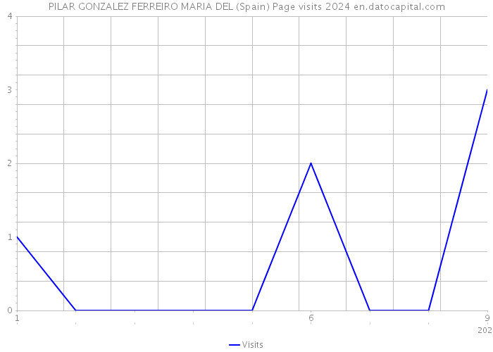 PILAR GONZALEZ FERREIRO MARIA DEL (Spain) Page visits 2024 