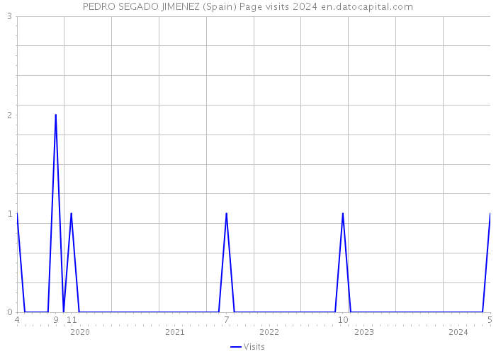 PEDRO SEGADO JIMENEZ (Spain) Page visits 2024 