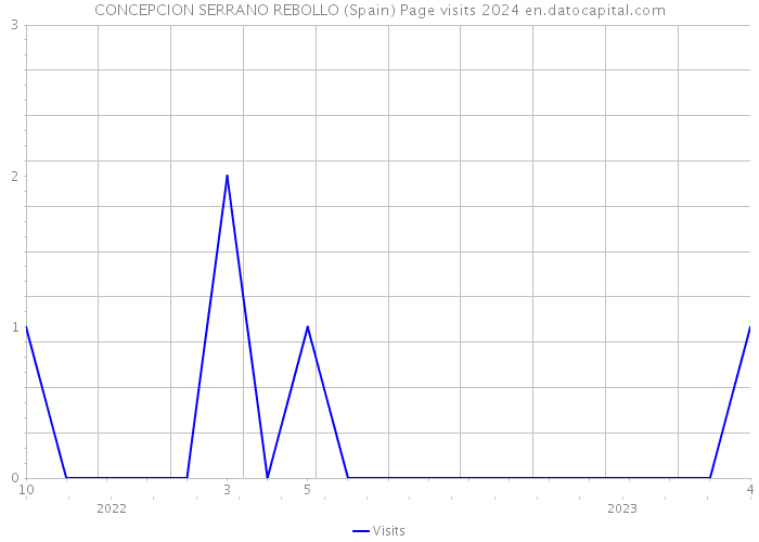 CONCEPCION SERRANO REBOLLO (Spain) Page visits 2024 