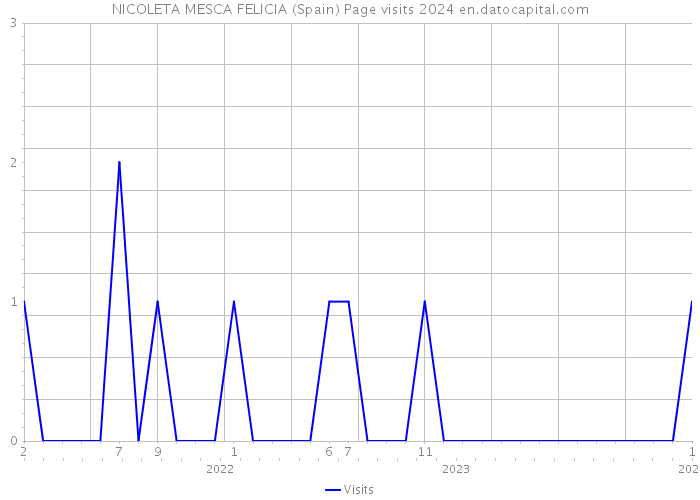 NICOLETA MESCA FELICIA (Spain) Page visits 2024 