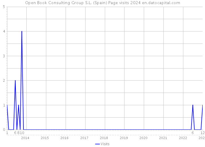 Open Book Consulting Group S.L. (Spain) Page visits 2024 