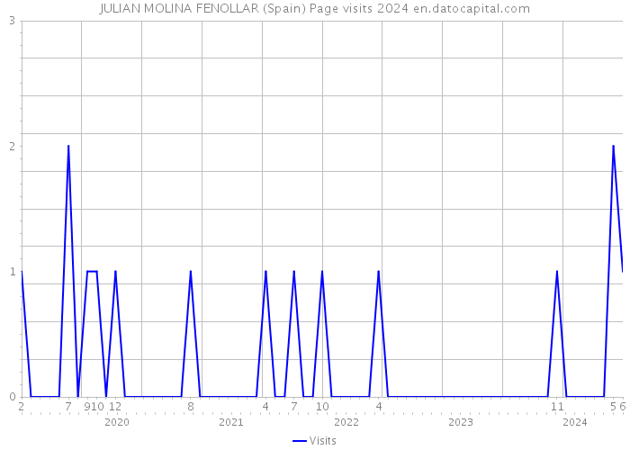 JULIAN MOLINA FENOLLAR (Spain) Page visits 2024 