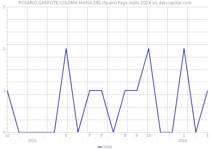 ROSARIO GARROTE COLOMA MARIA DEL (Spain) Page visits 2024 