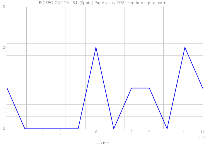 BIGSEO CAPITAL S.L (Spain) Page visits 2024 