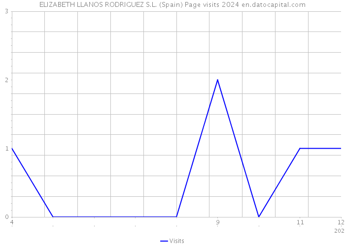 ELIZABETH LLANOS RODRIGUEZ S.L. (Spain) Page visits 2024 