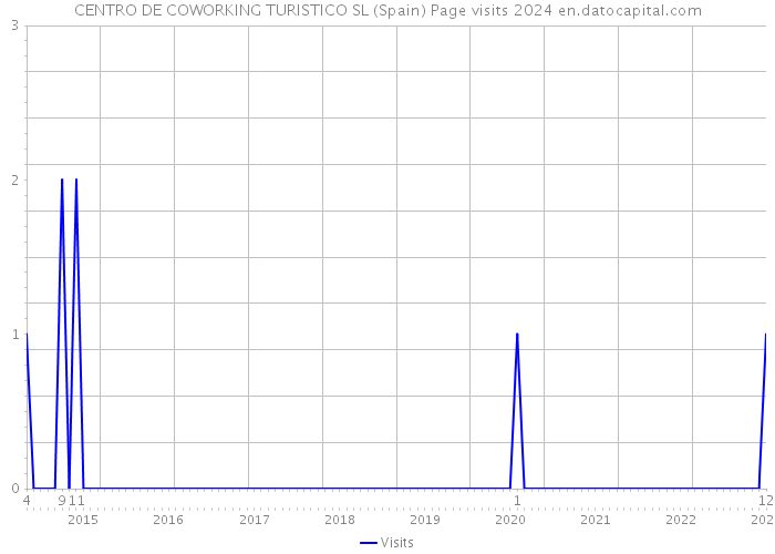CENTRO DE COWORKING TURISTICO SL (Spain) Page visits 2024 