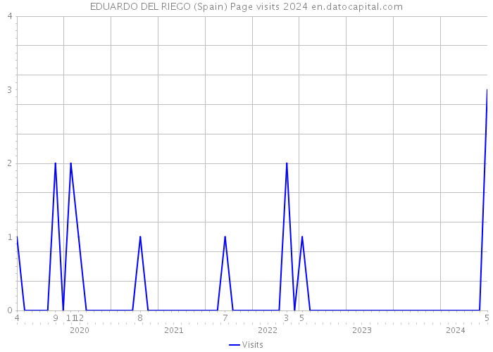 EDUARDO DEL RIEGO (Spain) Page visits 2024 