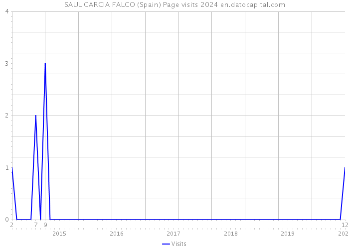 SAUL GARCIA FALCO (Spain) Page visits 2024 