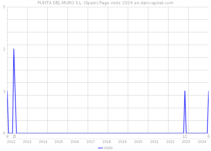 PUNTA DEL MURO S.L. (Spain) Page visits 2024 