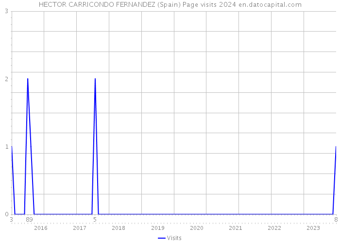 HECTOR CARRICONDO FERNANDEZ (Spain) Page visits 2024 