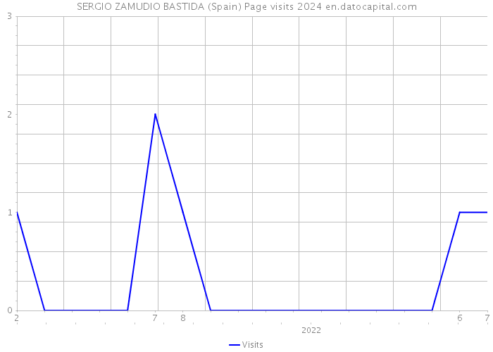 SERGIO ZAMUDIO BASTIDA (Spain) Page visits 2024 