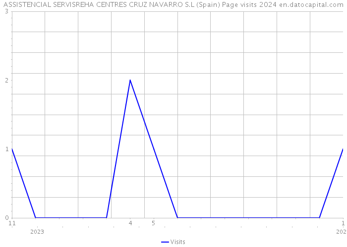ASSISTENCIAL SERVISREHA CENTRES CRUZ NAVARRO S.L (Spain) Page visits 2024 