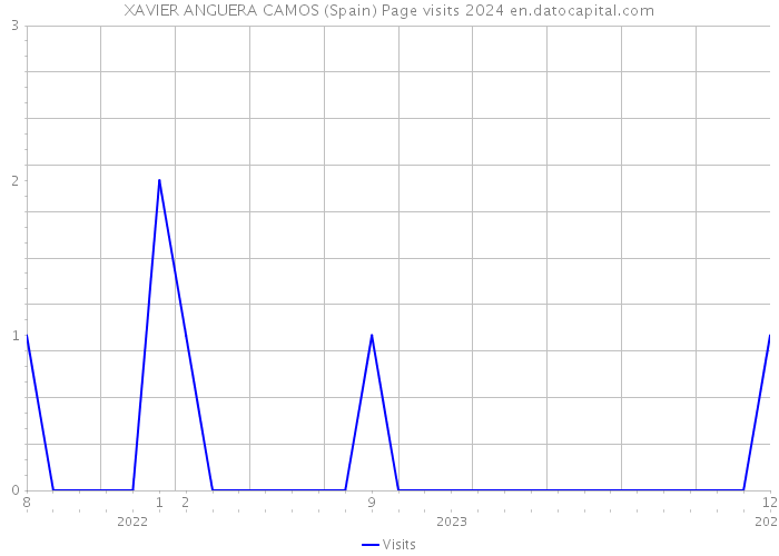 XAVIER ANGUERA CAMOS (Spain) Page visits 2024 