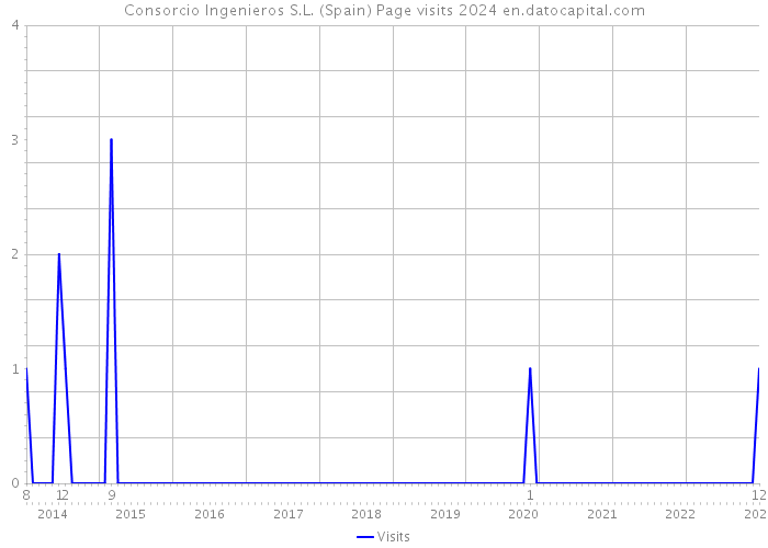 Consorcio Ingenieros S.L. (Spain) Page visits 2024 
