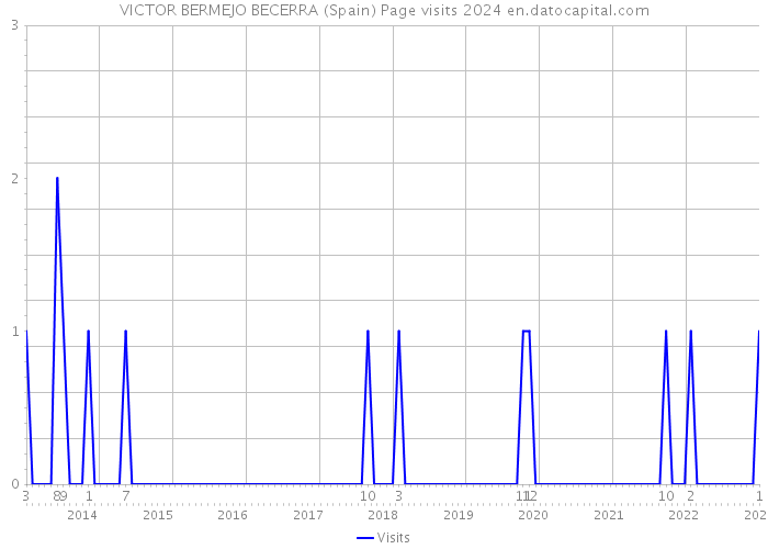 VICTOR BERMEJO BECERRA (Spain) Page visits 2024 