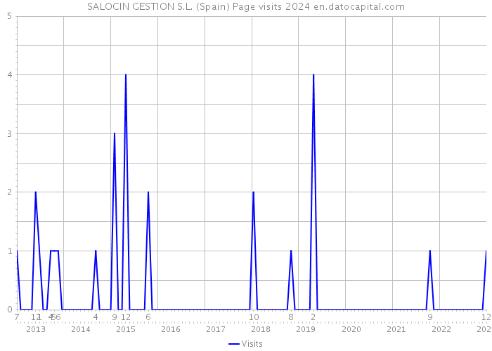 SALOCIN GESTION S.L. (Spain) Page visits 2024 