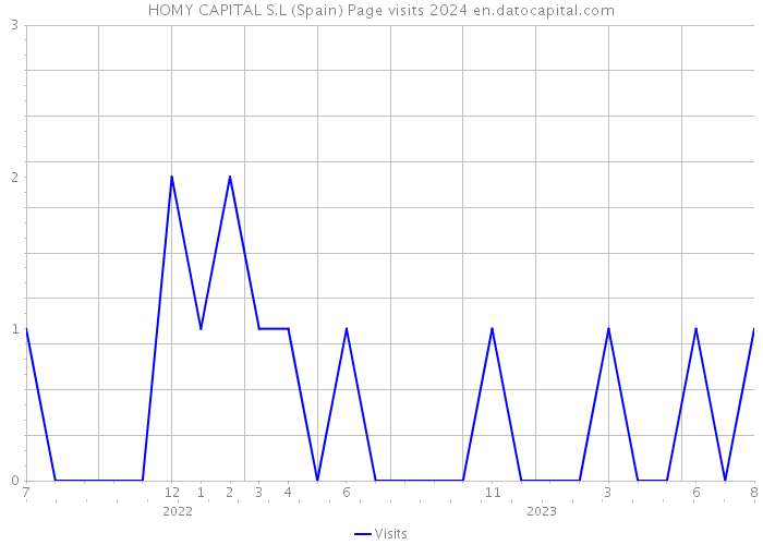 HOMY CAPITAL S.L (Spain) Page visits 2024 