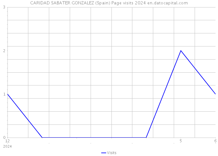 CARIDAD SABATER GONZALEZ (Spain) Page visits 2024 