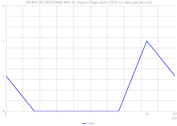 GRUPO DE GESTIONES MIA SL (Spain) Page visits 2024 