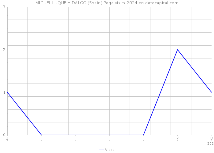 MIGUEL LUQUE HIDALGO (Spain) Page visits 2024 
